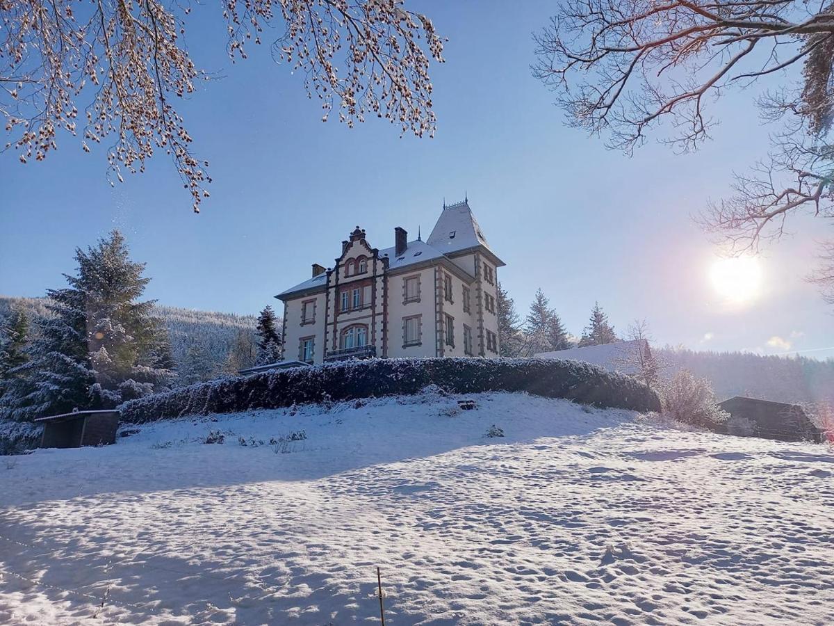Chateau Robert Raon-lʼÉtape Exterior foto